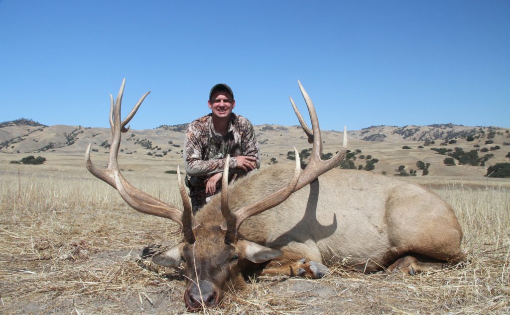 Tule Elk Hunting Guide