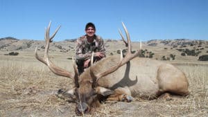 tule elk hunts California