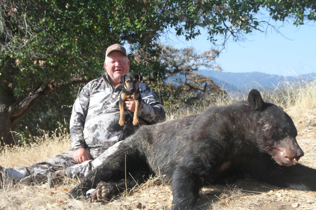 Black Bear Hunting Trips