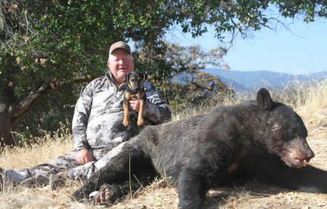 Black Bear Hunting Trips