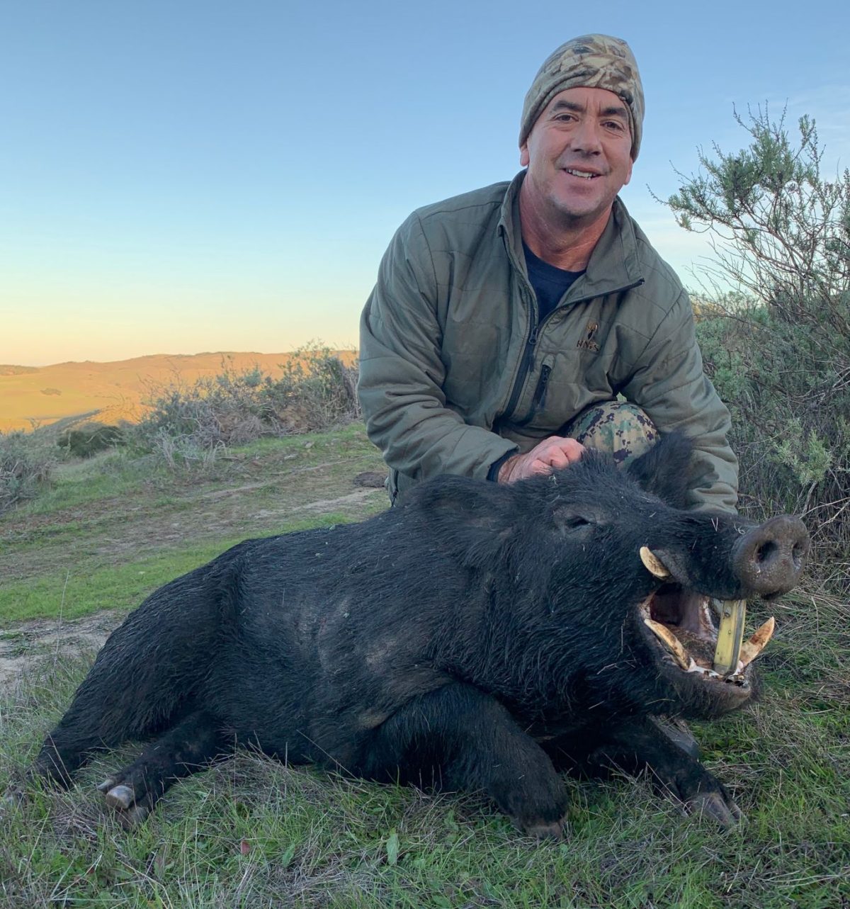 Where Can I Hunt Pigs For Free In California Guided Wild Pig Hunts in California - Central Coast Outfitters