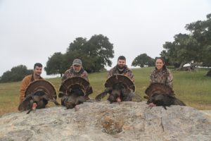 turkey hunting in california